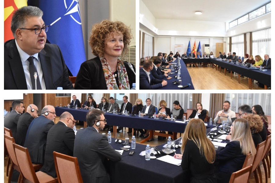 skoplje akademija jelena