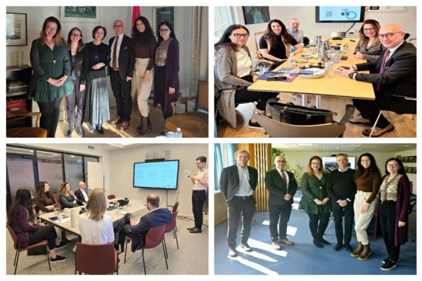 Mobility Scheme: A Delegation from the Serbian Ministry of Public Administration and Local Self-Government Engaged in an Enriching Exchange with their Danish Counterparts 