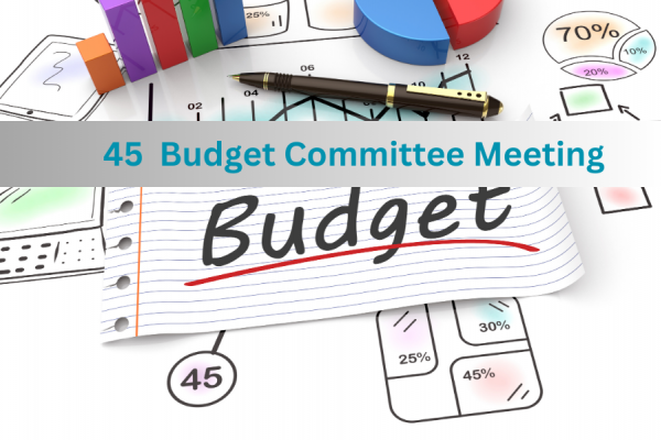 45th Budget Committee Meeting Highlights Importance of Enhancing ReSPA’s Regional Effectiveness and Impact