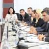 Peer-Mission on Public Participation, Pristina, Kosovo*